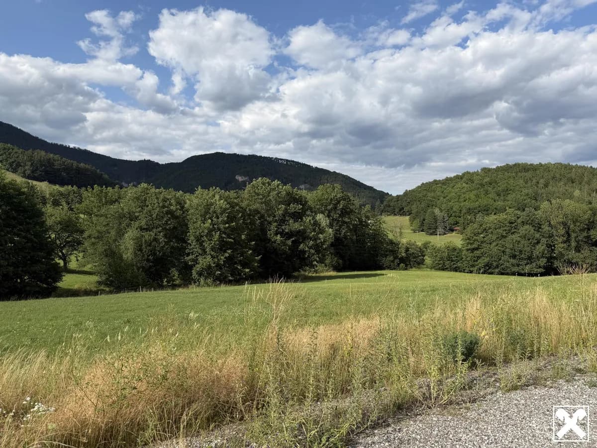 Grundstück kaufen in Neunkirchen – 784 m², € 86.240 – Bild 3 von 4