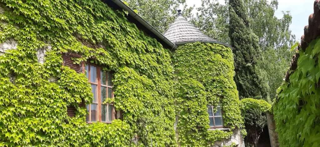 4-Zimmer-Haus kaufen in Neusiedl am See – 360 m², € 369.000 – Bild 1 von 44
