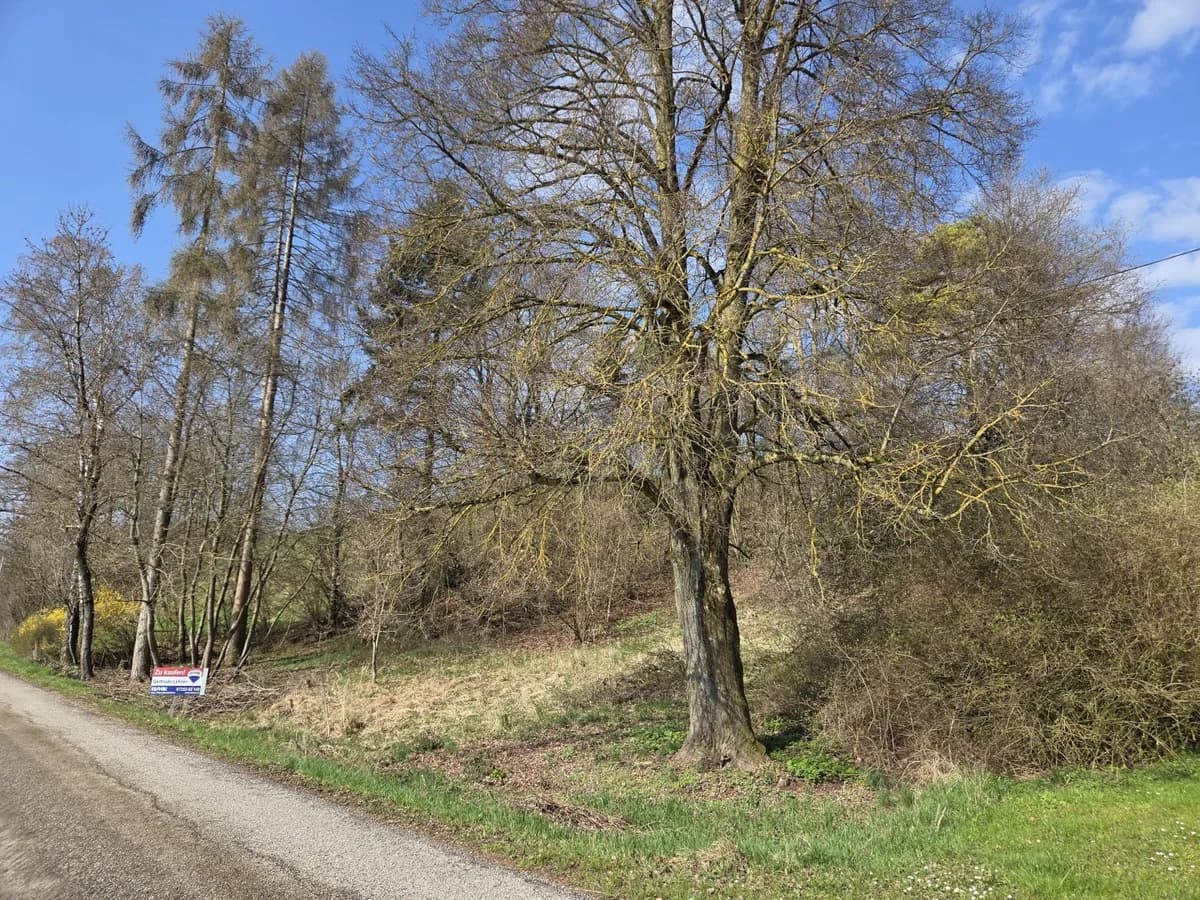 Grundstück kaufen in Steyr-Land – 1 531 m², € 220.000 – Bild 2 von 7