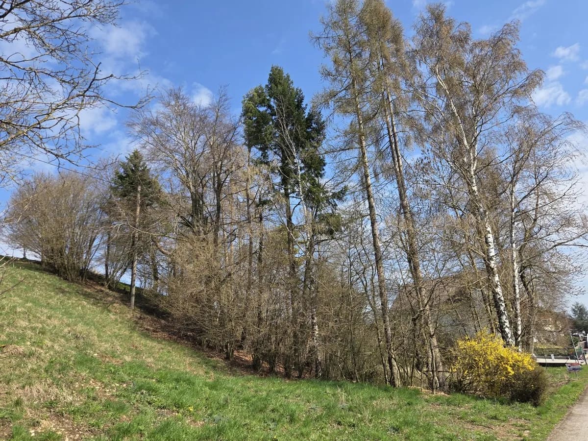 Grundstück kaufen in Steyr-Land – 1 531 m², € 220.000 – Bild 3 von 7