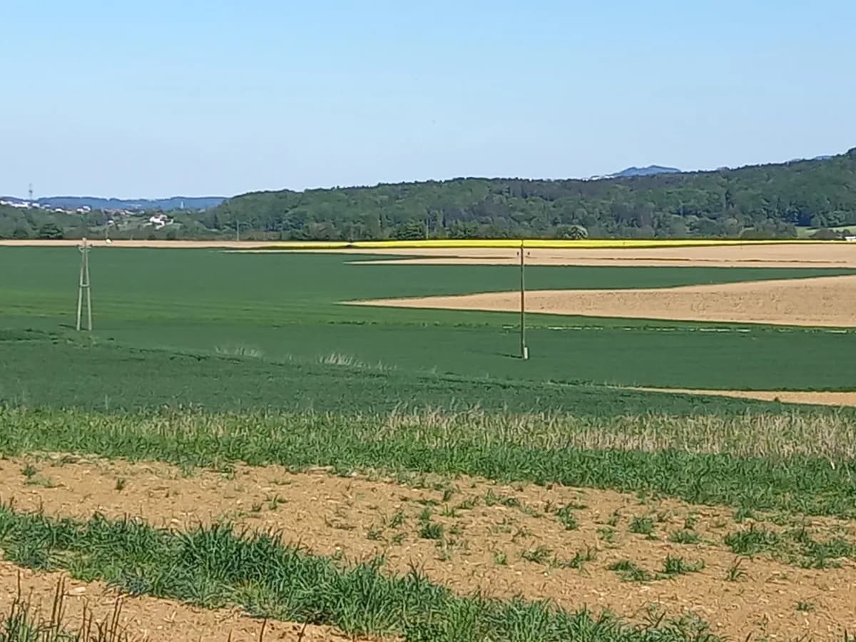 Grundstück kaufen in Steyr-Land – 1 531 m², € 220.000 – Bild 4 von 7
