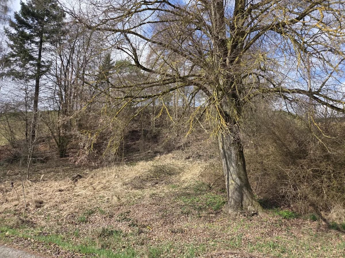 Grundstück kaufen in Steyr-Land – 1 531 m², € 220.000 – Bild 5 von 7