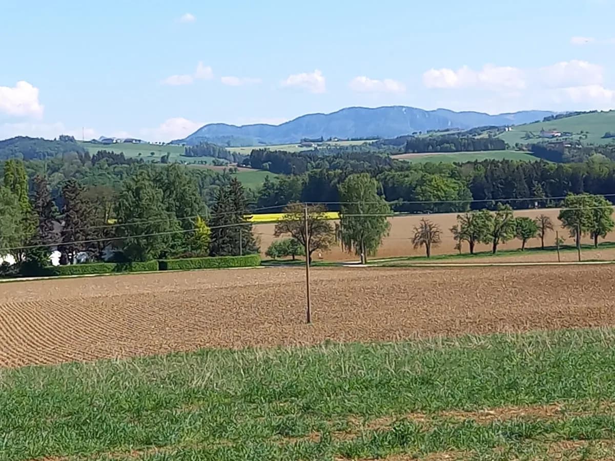 Grundstück kaufen in Steyr-Land – 1 531 m², € 220.000 – Bild 6 von 7