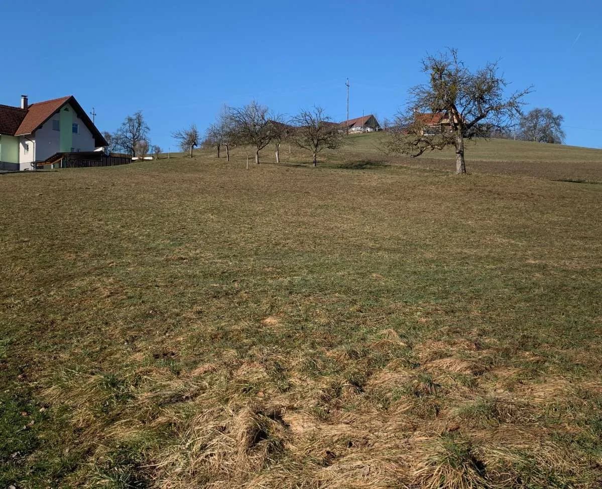 Grundstück kaufen in Deutschlandsberg – 1 562 m², € 168.696 – Bild 3 von 9