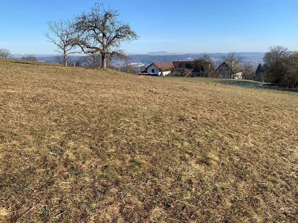 Grundstück kaufen in Deutschlandsberg – 1 562 m², € 168.696 – Bild 6 von 9