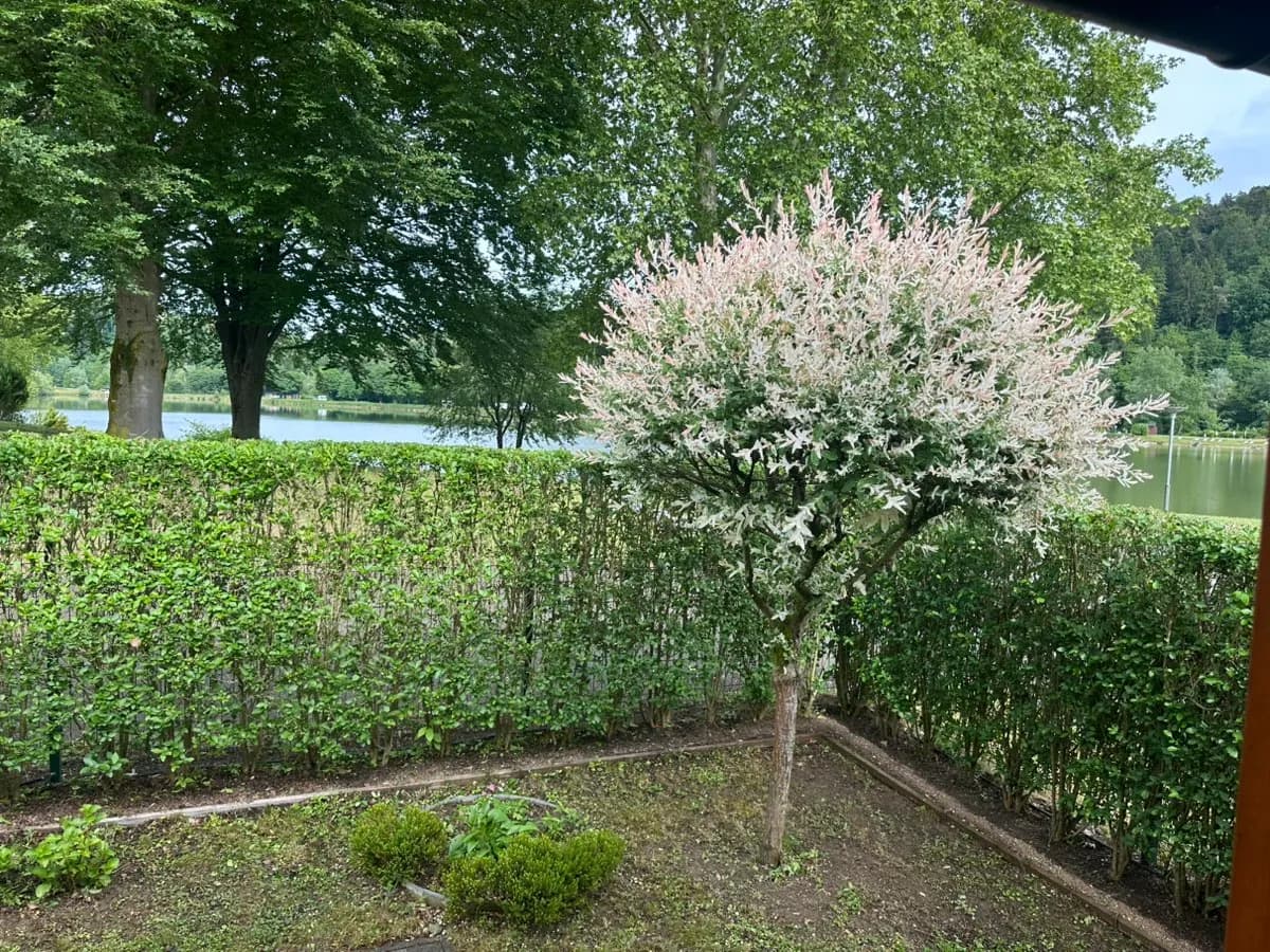 Wohnung kaufen in Leibnitz – 58 m², € 88.000 – Bild 22 von 22