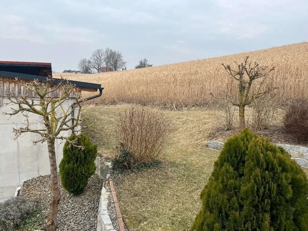 6-Zimmer-Wohnung mieten in Grieskirchen – 75 m², € 875