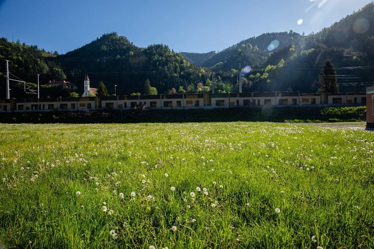 Grundstück kaufen in Bruck-Mürzzuschlag – 1 118 m², € 128.000