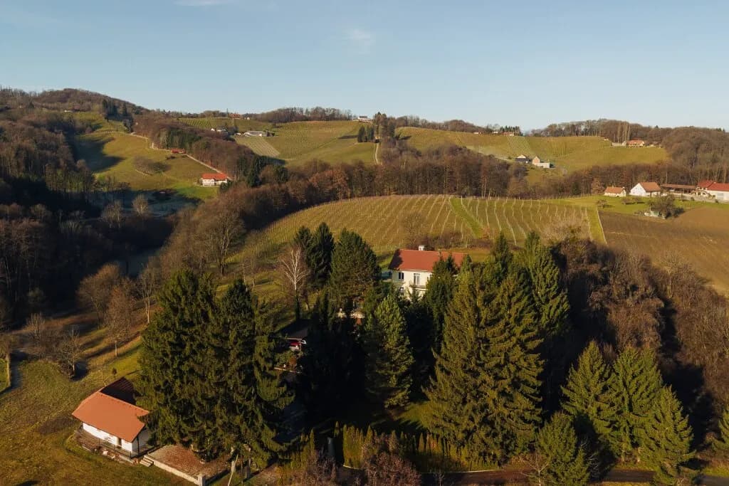 8-Zimmer-Immobilie kaufen in Leibnitz – 450 m², € 1.490.000 – Bild 1 von 105