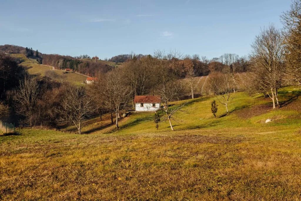 8-Zimmer-Immobilie kaufen in Leibnitz – 450 m², € 1.490.000 – Bild 85 von 105