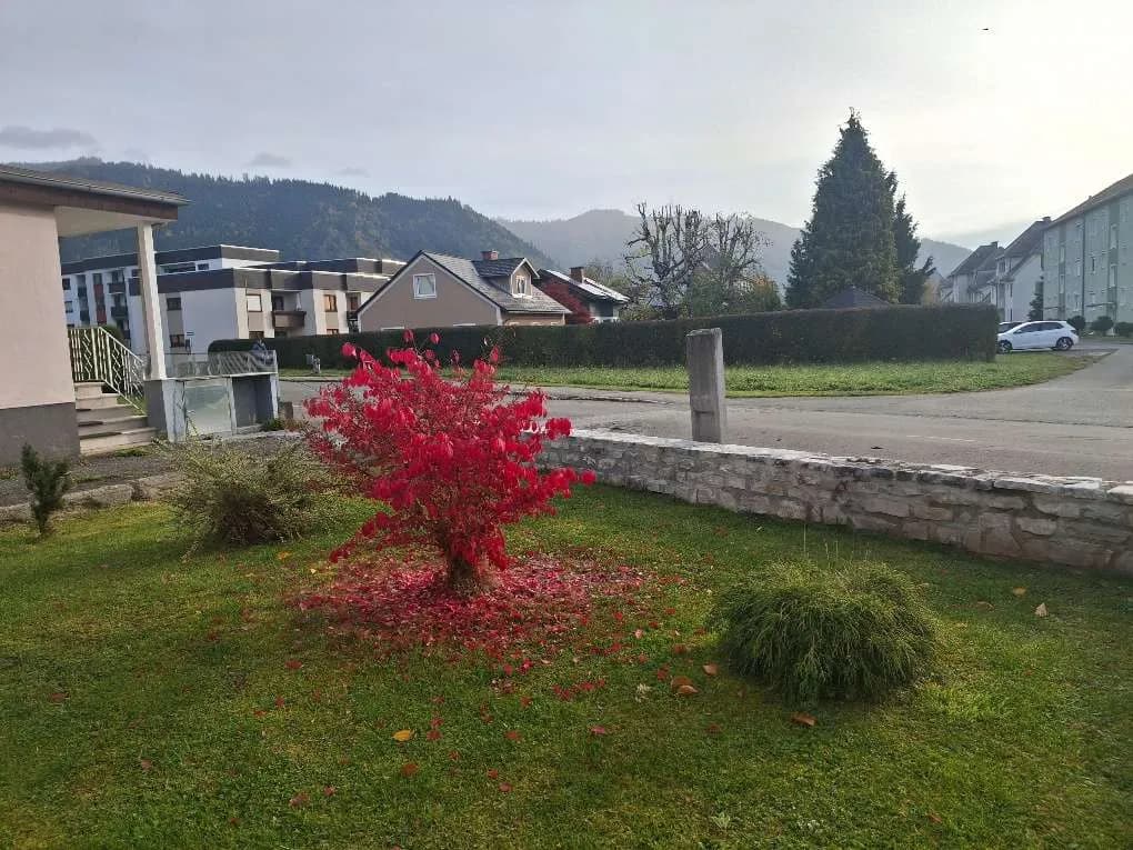 Gewerbeimmobilie kaufen in Murtal – 266 m², € 200.000 – Bild 3 von 28