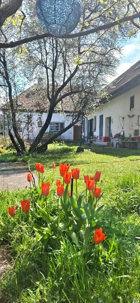 5-Zimmer-Haus kaufen in Eisenstadt - Umgebung – 140 m², € 820.000