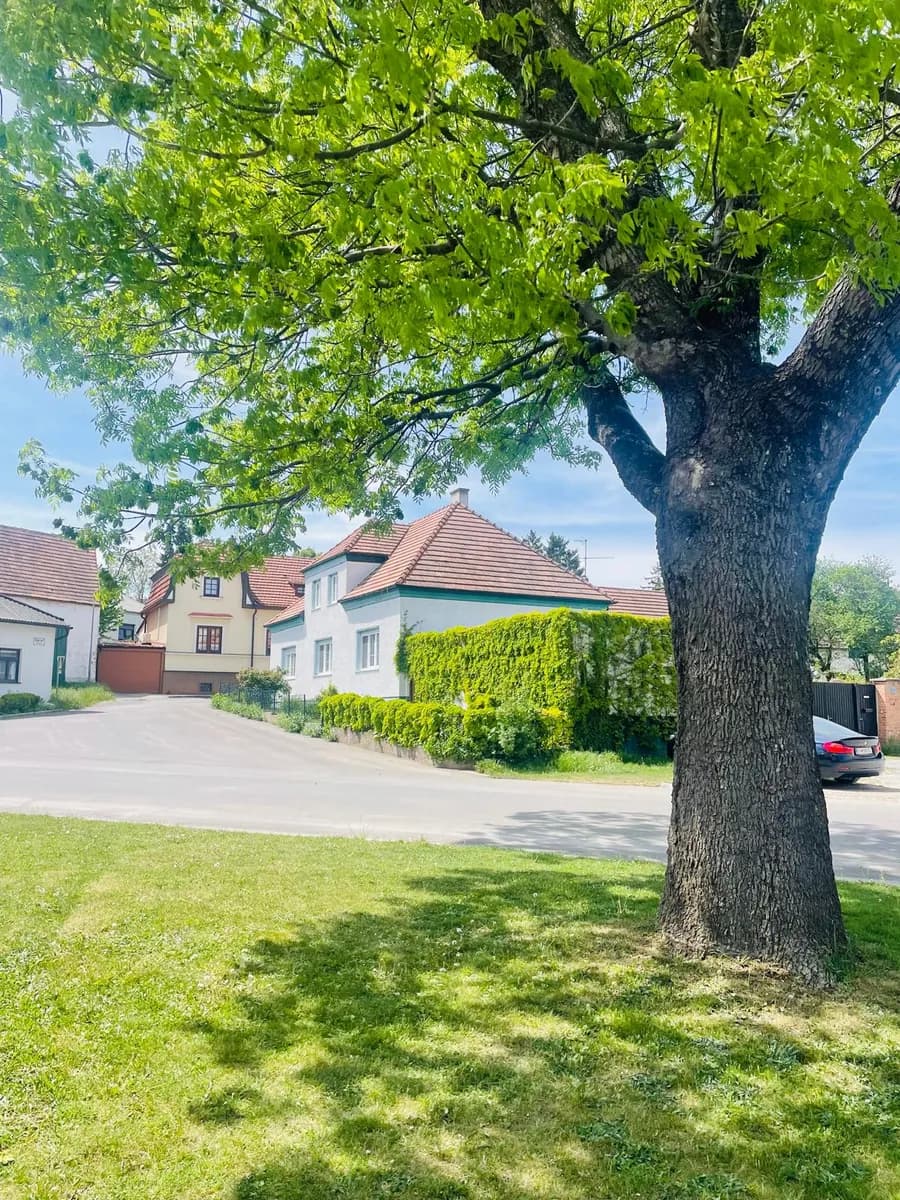5-Zimmer-Haus kaufen in Eisenstadt - Umgebung – 140 m², € 820.000 – Bild 2 von 71