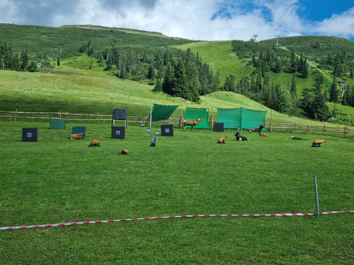 16-Zimmer-Gewerbeimmobilie kaufen in Liezen – 800 m², € 1.290.000 – Bild 5 von 26