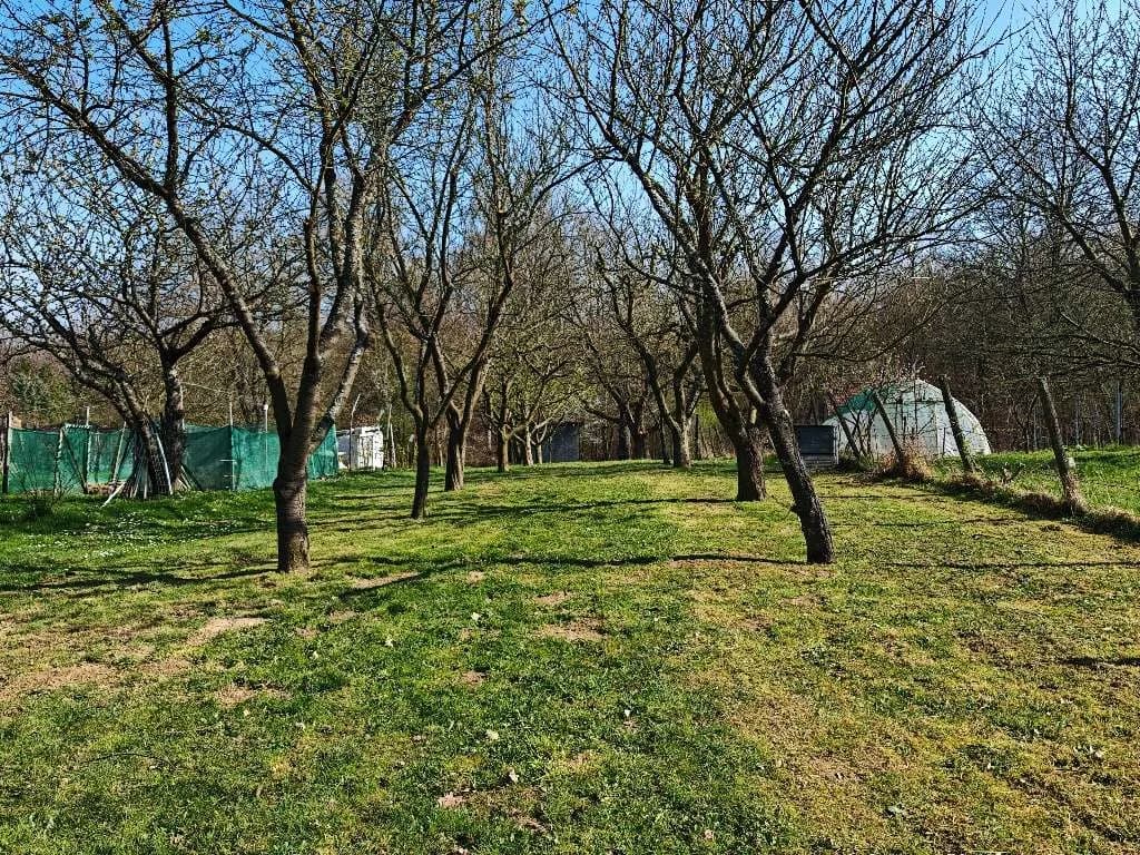 1-Zimmer-Immobilie kaufen in Österreich – 38 m², € 25.300 – Bild 9 von 13