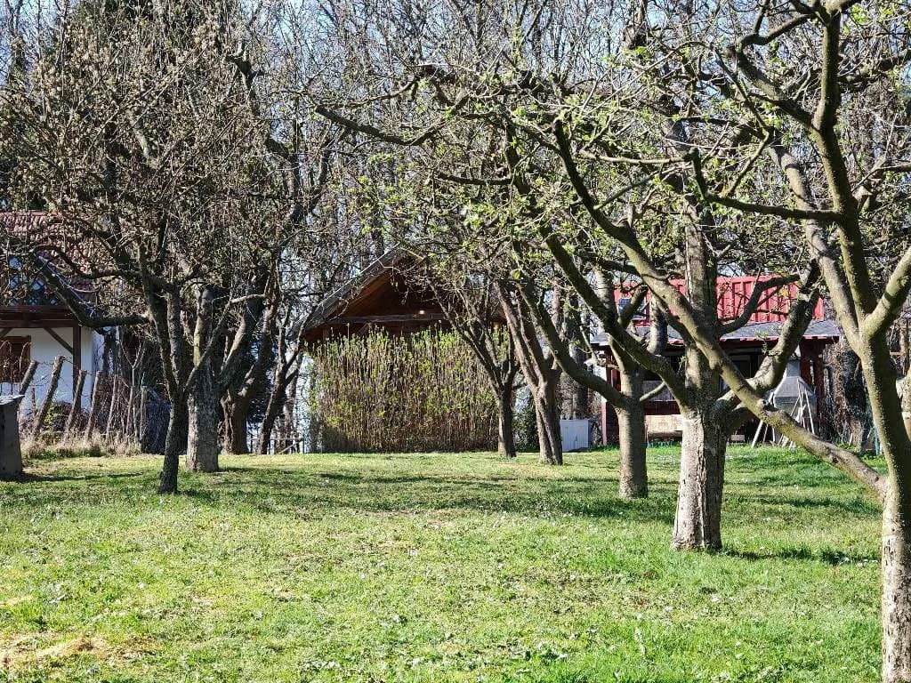 1-Zimmer-Immobilie kaufen in Österreich – 38 m², € 25.300 – Bild 11 von 13