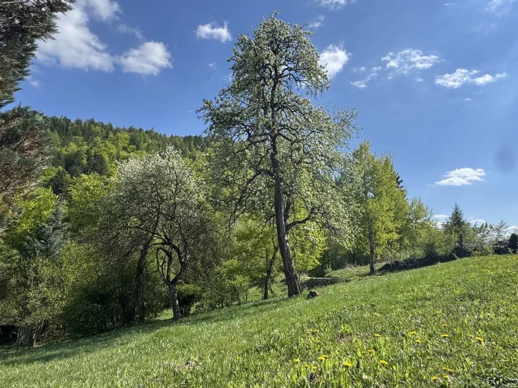 Grundstück kaufen in Villach Land – 768 m², € 72.960