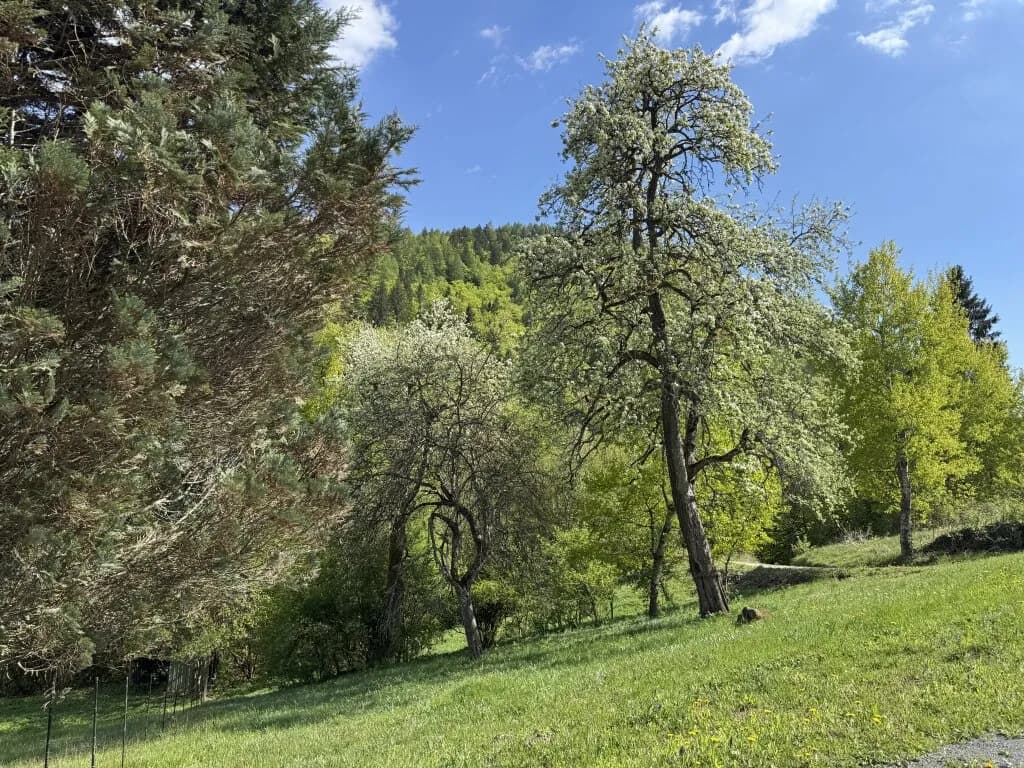 Grundstück kaufen in Villach Land – 768 m², € 72.960 – Bild 4 von 6