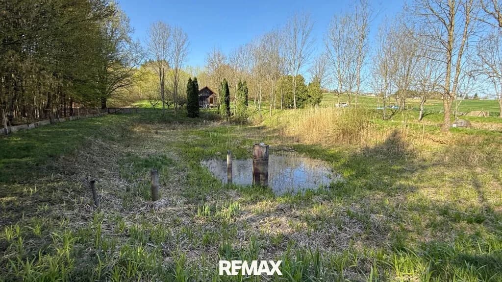 Immobilie kaufen in Güssing – 5 838 m², € 88.000 – Bild 6 von 16