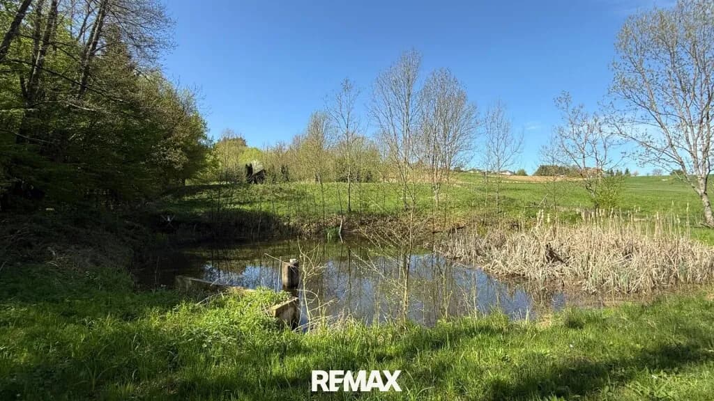 Immobilie kaufen in Güssing – 5 838 m², € 88.000 – Bild 7 von 16