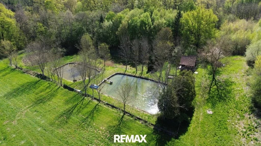 Immobilie kaufen in Güssing – 5 838 m², € 88.000 – Bild 8 von 16
