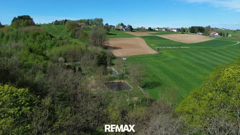 Immobilie kaufen in Güssing – 5 838 m², € 88.000 – Bild 9 von 16