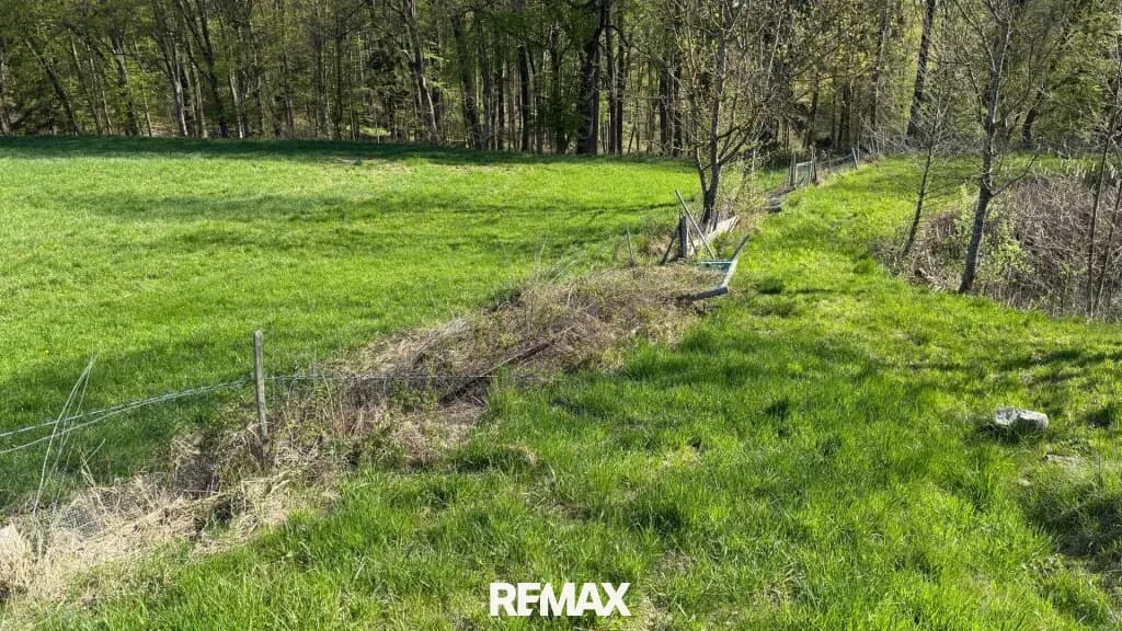 Immobilie kaufen in Güssing – 5 838 m², € 88.000 – Bild 11 von 16
