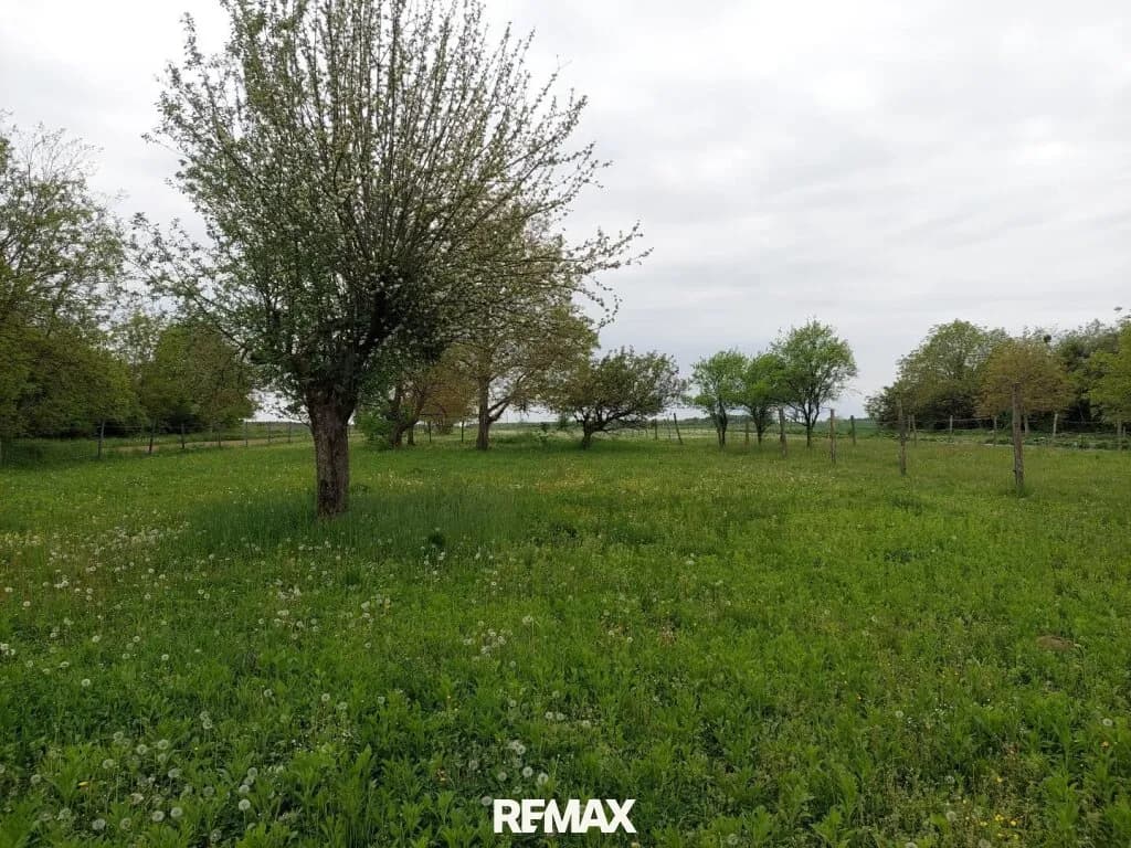 3-Zimmer-Haus kaufen in Jennersdorf – 85 m², € 158.000 – Bild 17 von 25