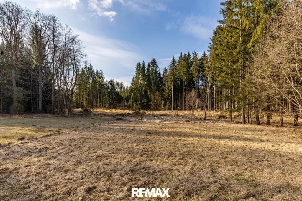 Grundstück kaufen in Gmünd – 2 694 m², € 59.000 – Bild 5 von 6