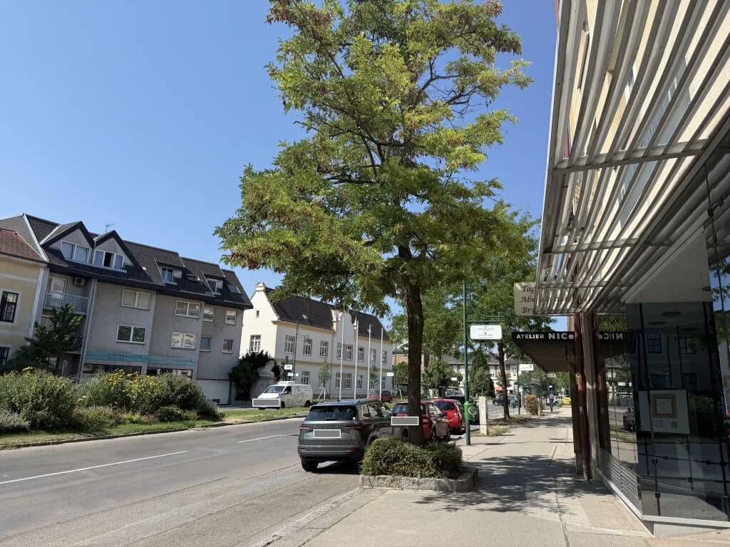 9-Zimmer-Wohnung kaufen in Mödling – 230 m², € 999.000 – Bild 3 von 29