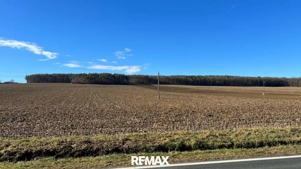 Grundstück kaufen in Oberwart – 279 950 m²