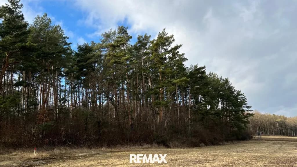 Grundstück kaufen in Oberwart – 279 950 m² – Bild 4 von 4