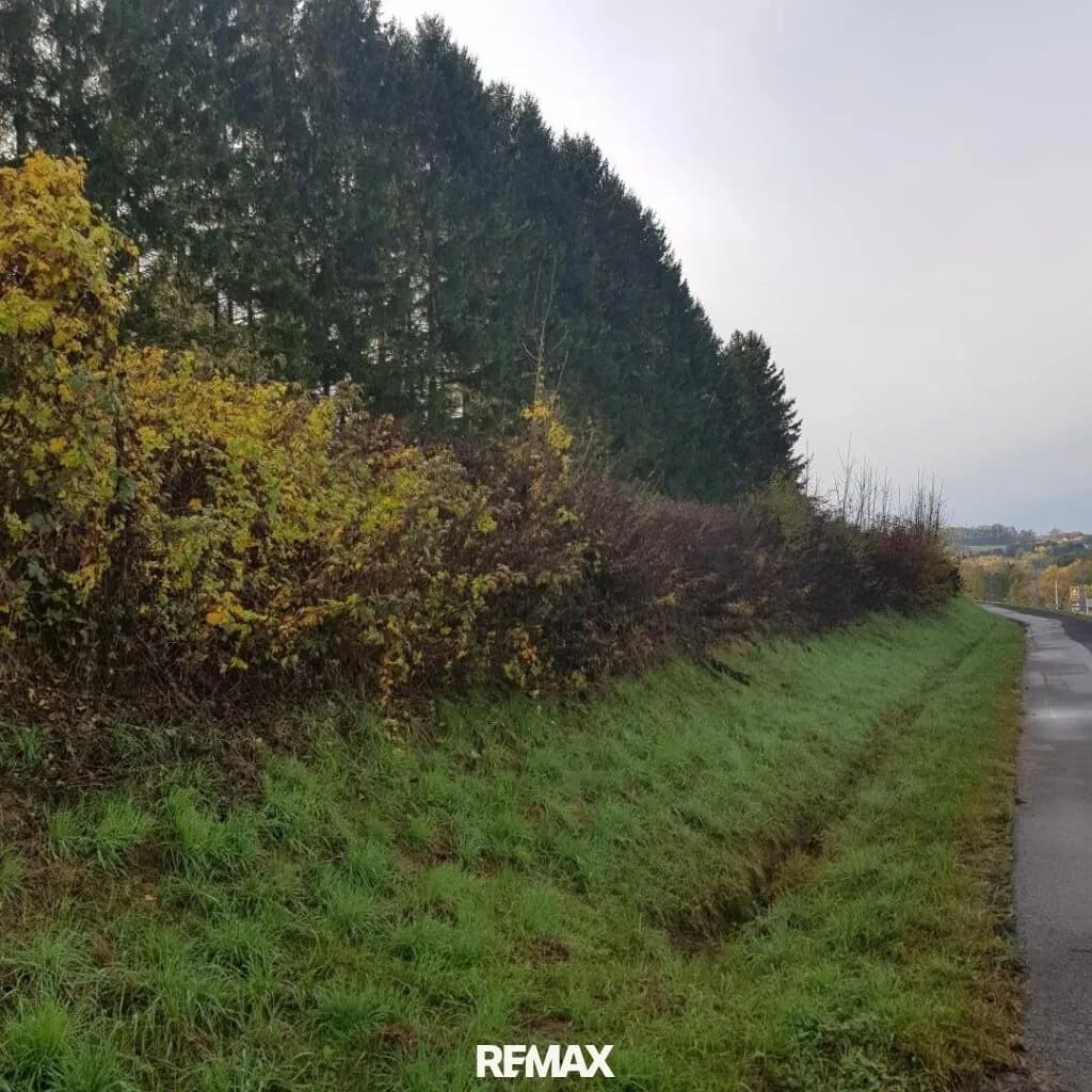 Grundstück kaufen in Güssing – 1 750 m², € 46.000 – Bild 5 von 7