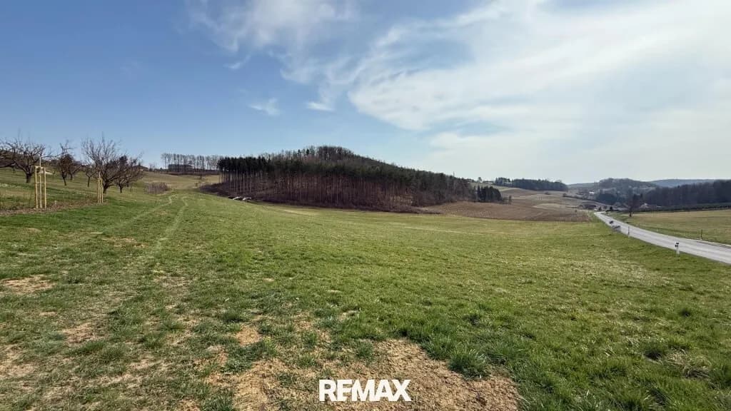 Grundstück kaufen in Güssing – 3 145 m², € 88.000 – Bild 7 von 13