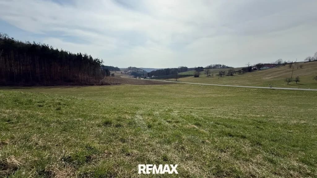 Grundstück kaufen in Güssing – 3 145 m², € 88.000 – Bild 8 von 13