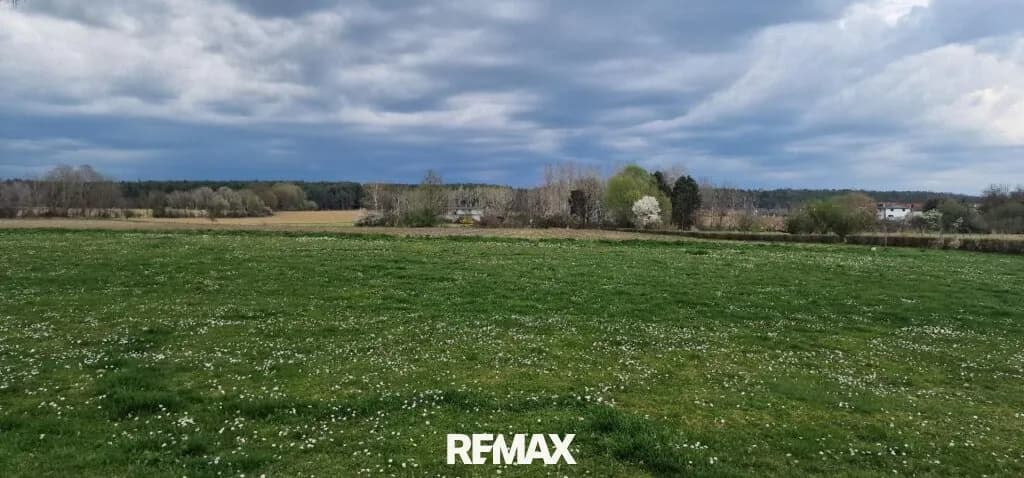 Immobilie kaufen in Hartberg-Fürstenfeld – 34 372 m², € 590.000 – Bild 5 von 8