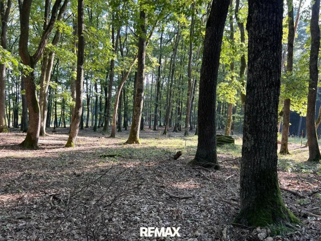 4-Zimmer-Haus kaufen in Oberwart – 104 m², € 194.000 – Bild 29 von 42