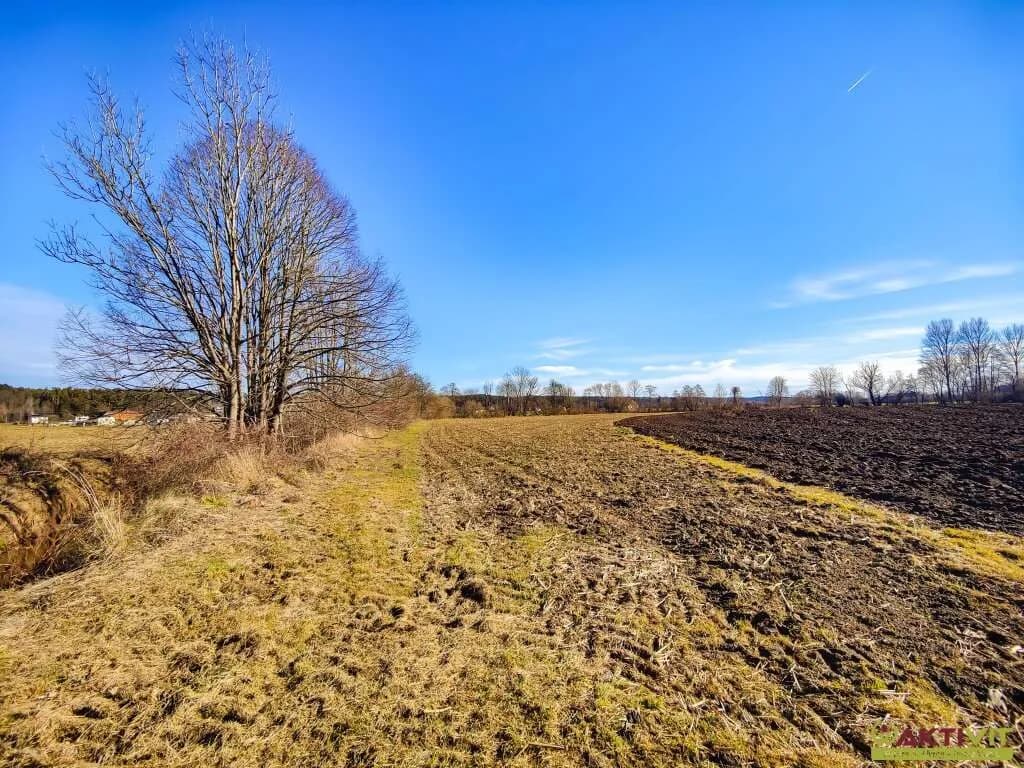 Immobilie kaufen in Voitsberg – 13 412 m², € 134.120 – Bild 3 von 4