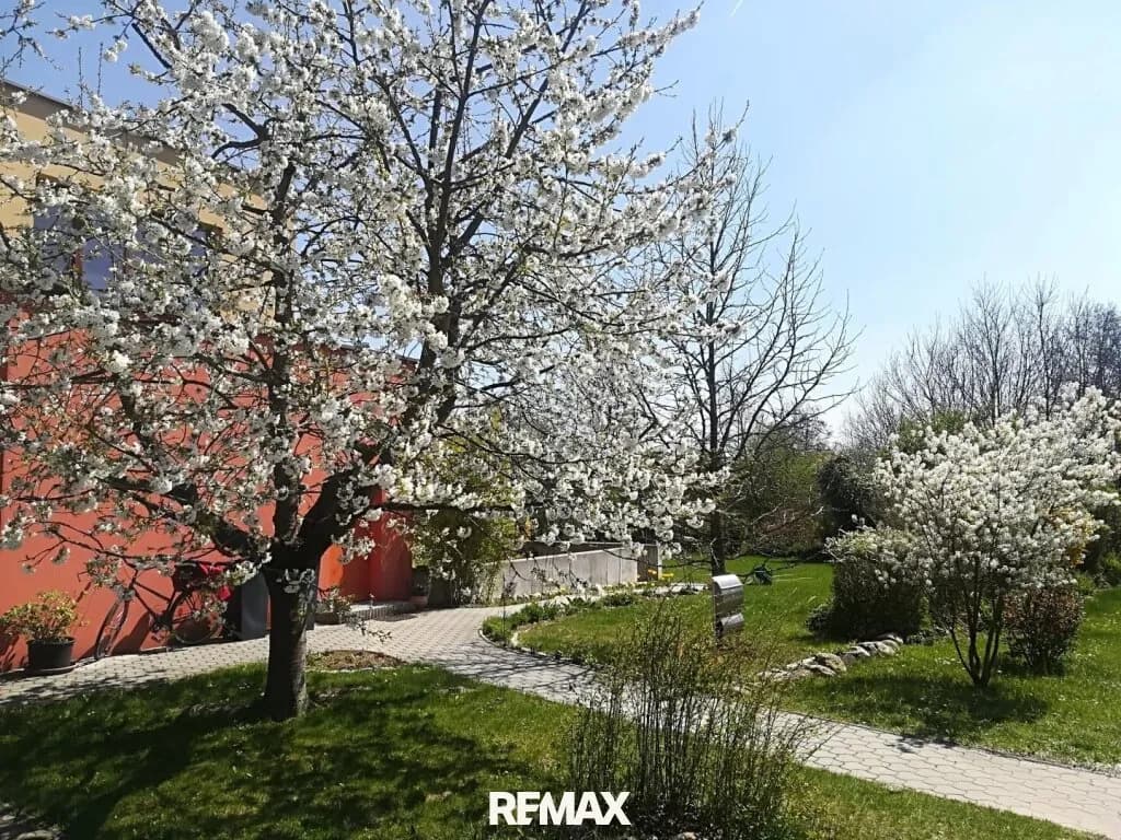 7-Zimmer-Haus kaufen in Oberwart – 272 m² – Bild 22 von 38