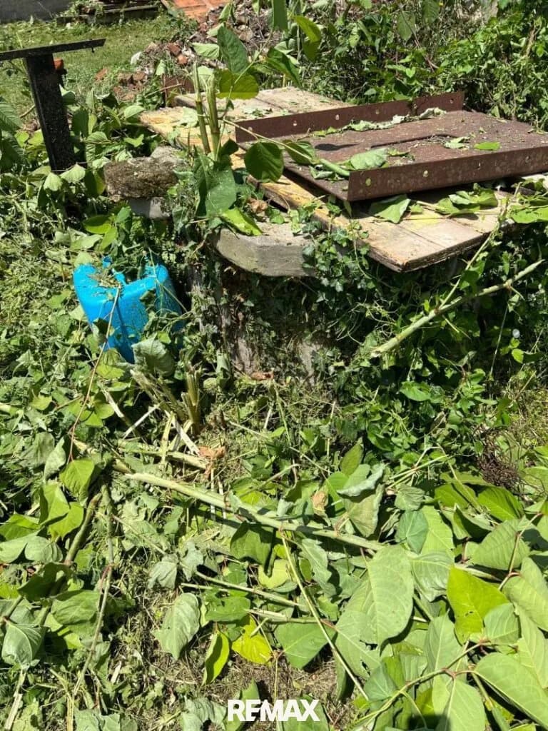 Grundstück kaufen in Güssing – 2 669 m², € 34.900 – Bild 7 von 11