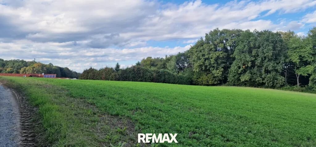 Grundstück kaufen in Jennersdorf – 6 816 m², € 290.000 – Bild 2 von 5