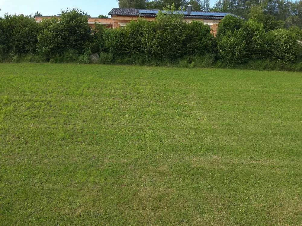 Grundstück kaufen in Rohrbach – 2 700 m², € 45 – Bild 11 von 17