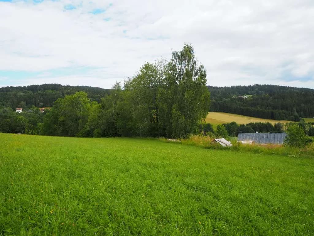 Grundstück kaufen in Rohrbach – 2 700 m², € 45 – Bild 13 von 17