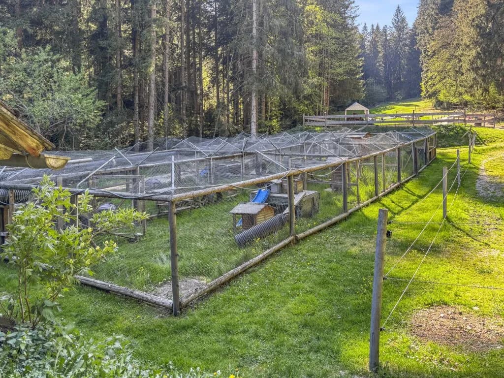 Haus kaufen in Weiz – 190 m², € 1.150.000 – Bild 62 von 99