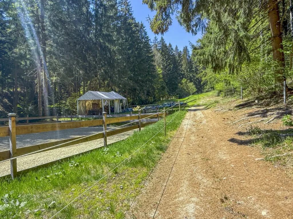 Haus kaufen in Weiz – 190 m², € 1.150.000 – Bild 65 von 99