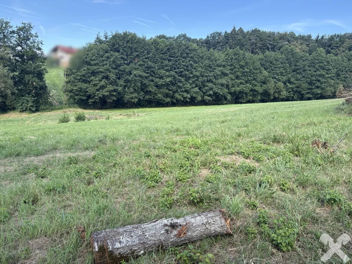 Grundstück kaufen in Graz-Umgebung – 10 169 m², € 189.000 – Bild 3 von 4