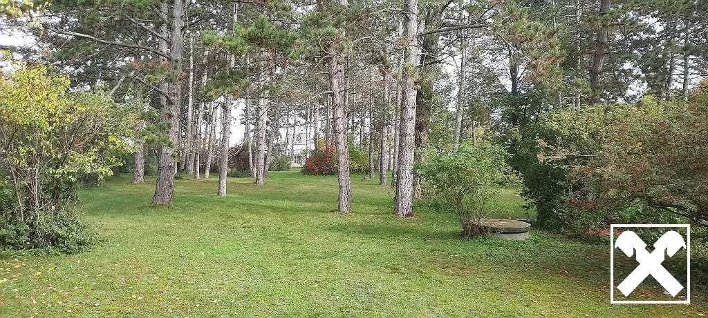 Grundstück kaufen in Gänserndorf – 5 781 m², € 1.290.000 – Bild 2 von 8