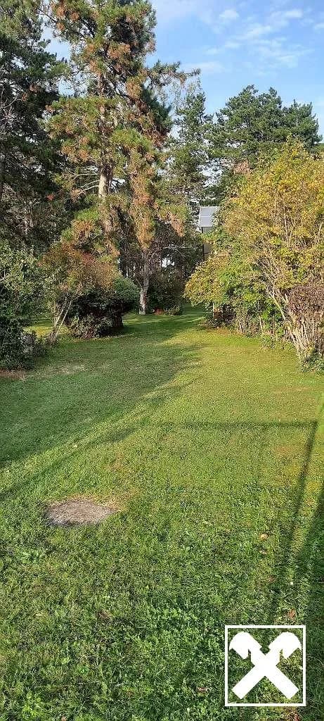 Grundstück kaufen in Gänserndorf – 5 781 m², € 1.290.000 – Bild 3 von 8