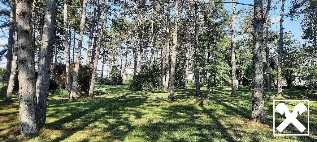 Grundstück kaufen in Gänserndorf – 5 781 m², € 1.290.000 – Bild 4 von 8