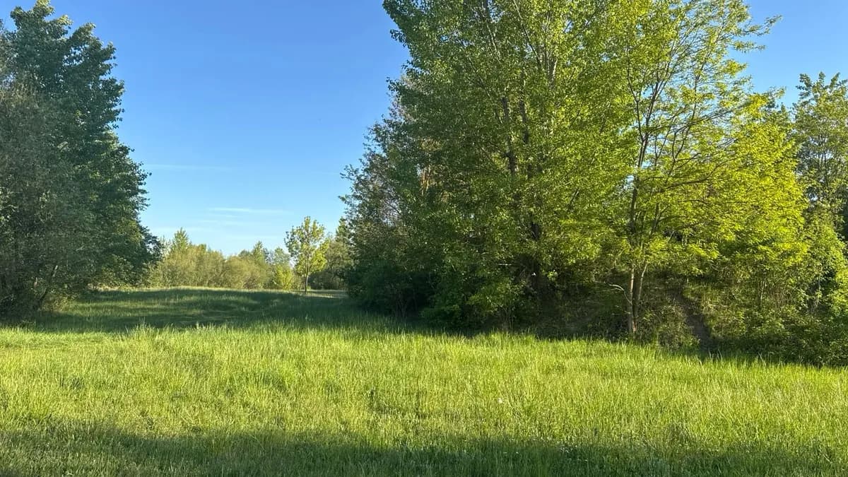 Grundstück kaufen in Österreich – 668 m², € 195.000 – Bild 4 von 9